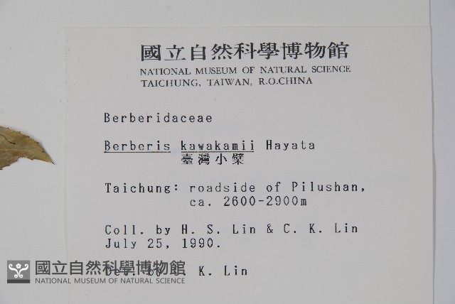 臺灣小蘗藏品圖，第2張