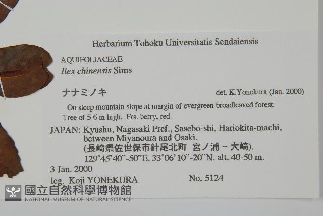 冬青藏品圖，第2張