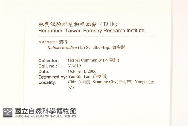 雞兒腸藏品圖，第2張