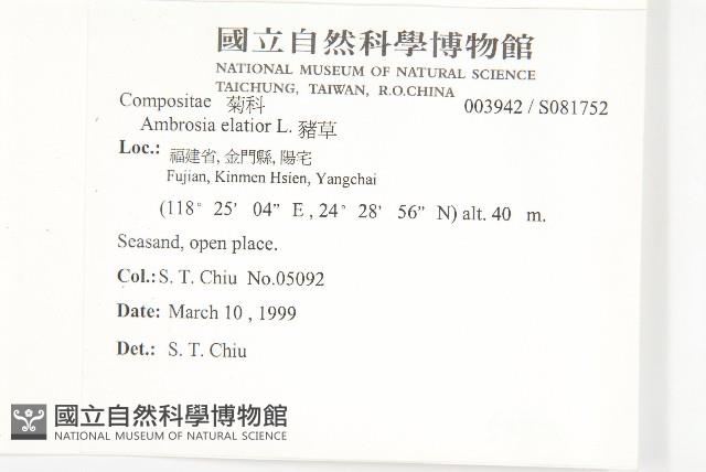 豬草藏品圖，第2張