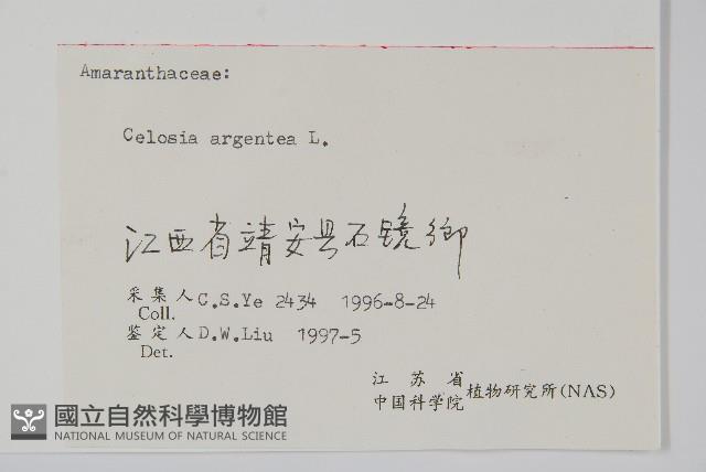 青葙藏品圖，第2張