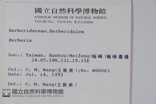 日本小檗藏品圖，第2張