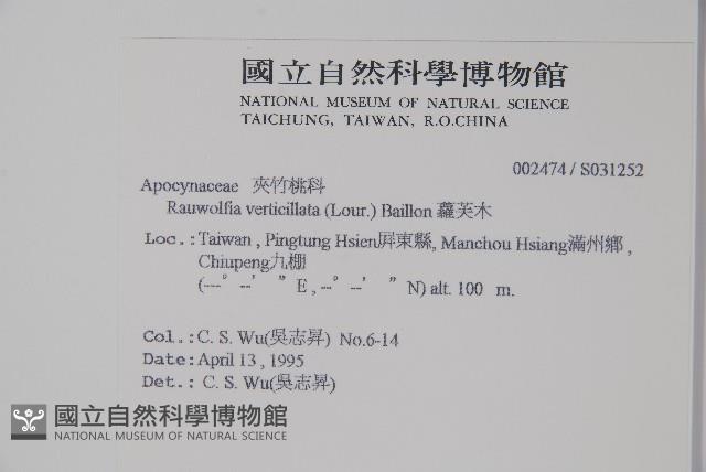 蘿芙木藏品圖，第2張