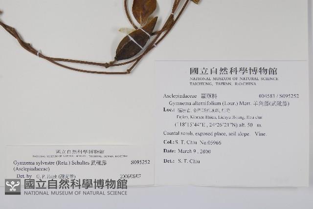 武靴藤藏品圖，第2張