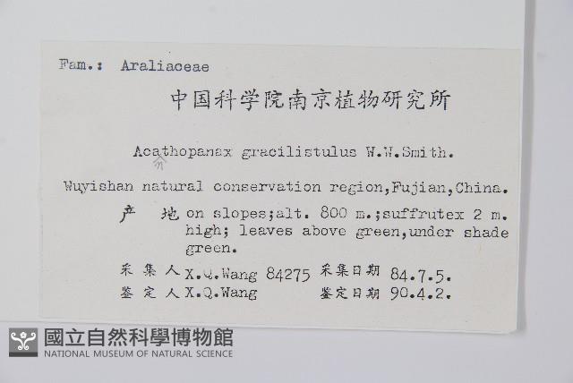 五加藏品圖，第2張