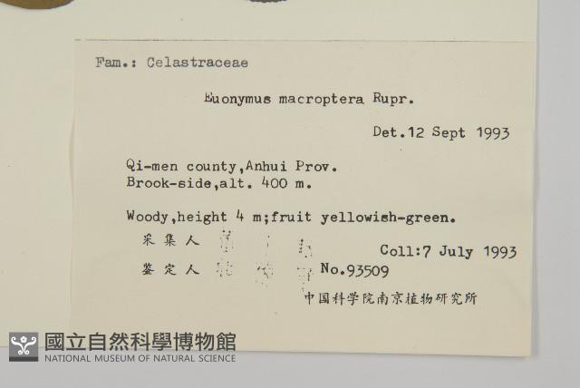 黃瓢子藏品圖，第2張