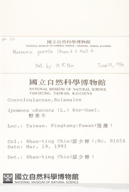 菜欒藤藏品圖，第2張