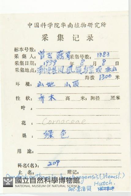 香港四照花藏品圖，第2張