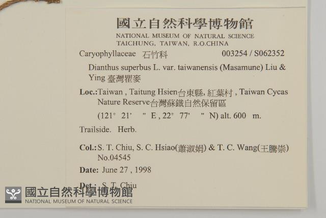 臺灣瞿麥藏品圖，第2張