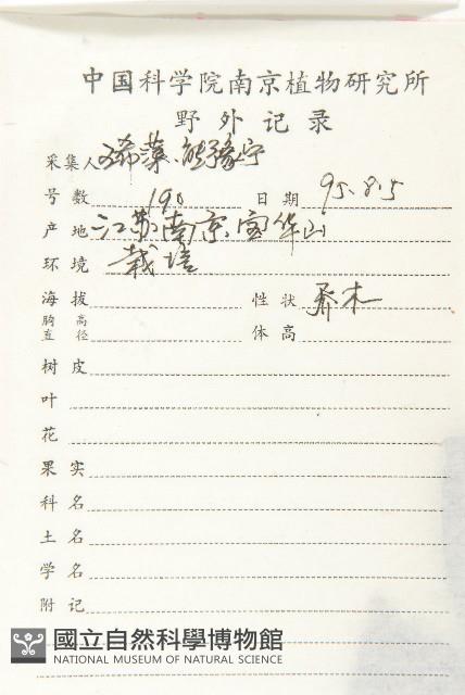 柿、柿仔、紅柿藏品圖，第2張