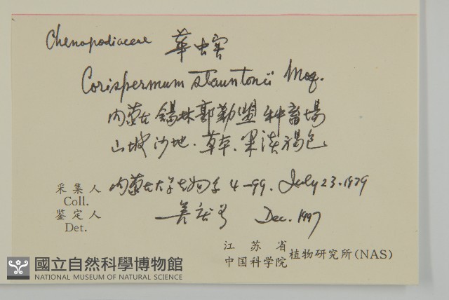 華蟲實藏品圖，第2張