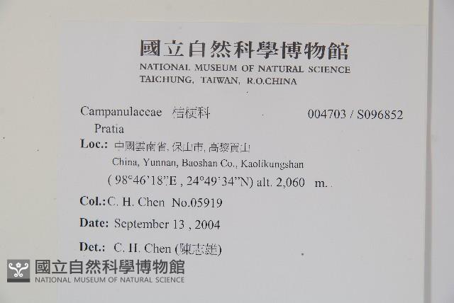 登錄號:S096852藏品圖，第2張