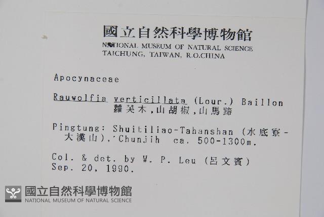 蘿芙木藏品圖，第2張
