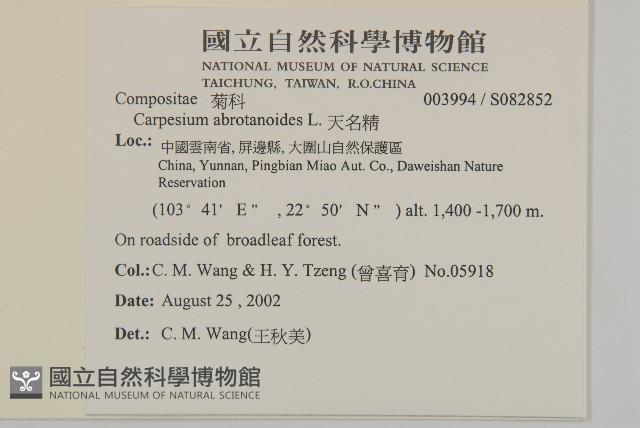 天名精藏品圖，第2張