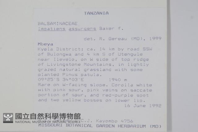 登錄號:S100852藏品圖，第2張