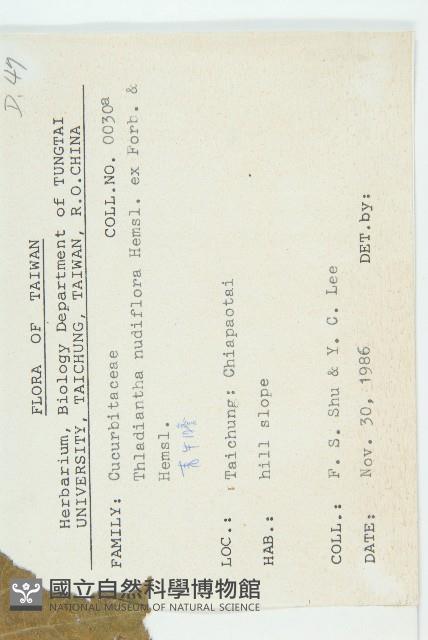 青牛膽藏品圖，第2張