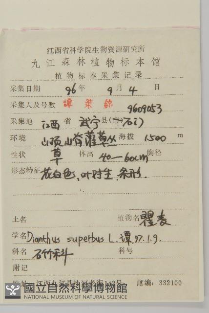 臭節草藏品圖，第2張