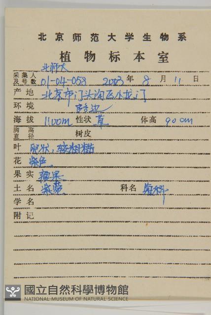 紫菀藏品圖，第2張