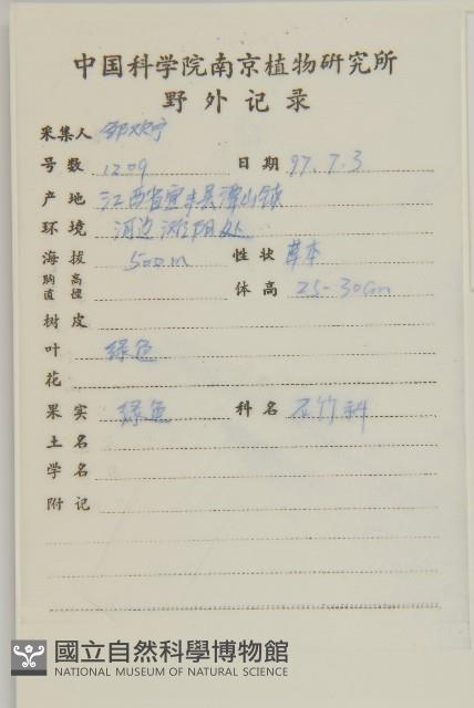 雀舌草藏品圖，第2張