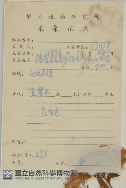 登錄號:S045952藏品圖，第2張