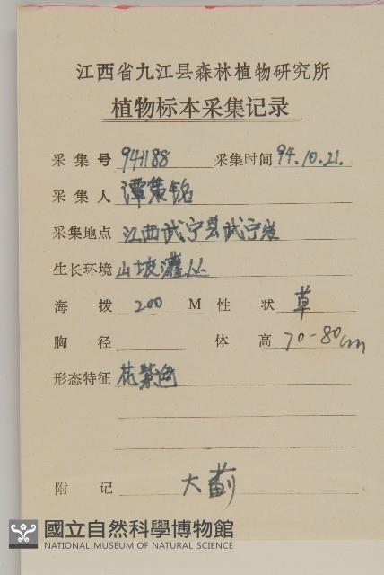 小薊藏品圖，第2張