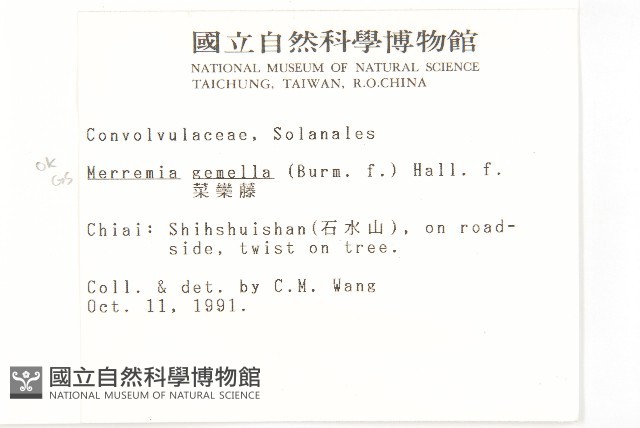 菜欒藤藏品圖，第2張
