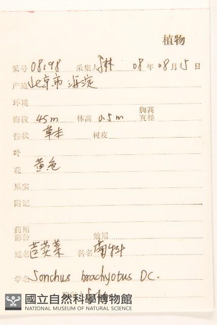 大耔蒿藏品圖，第2張