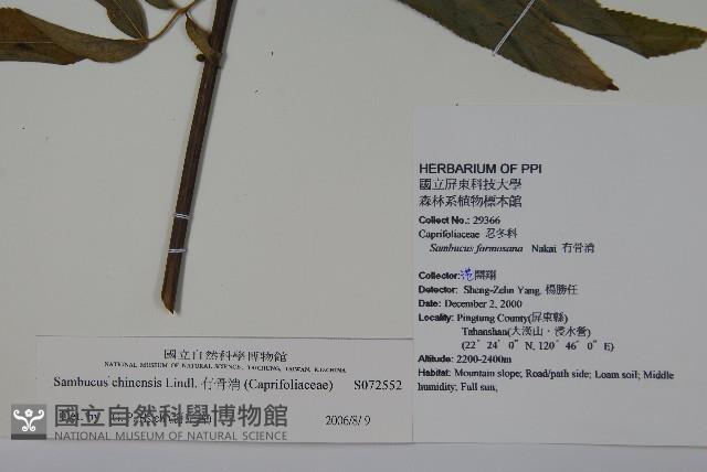 冇骨消藏品圖，第2張