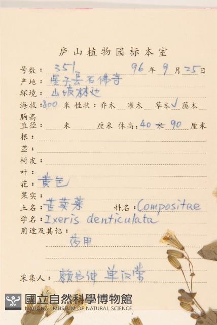 苦實菜藏品圖，第2張