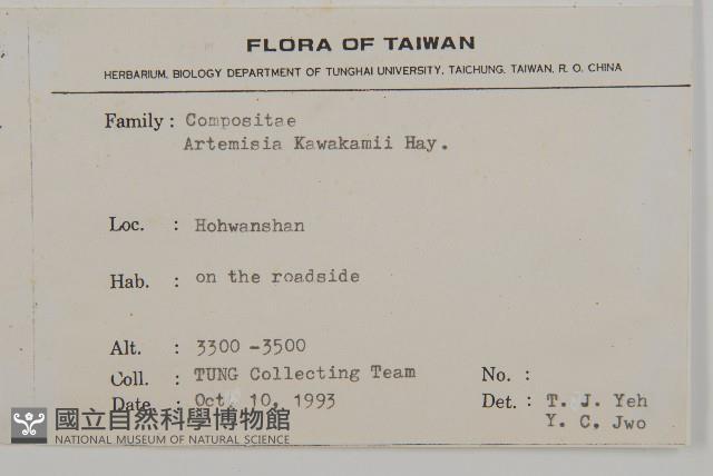 山艾藏品圖，第2張