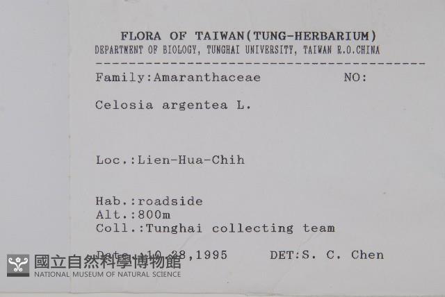 青葙藏品圖，第2張