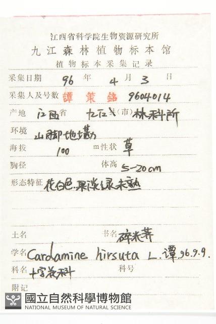 碎米薺藏品圖，第2張