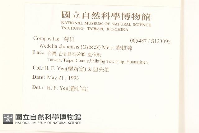 蟛蜞菊藏品圖，第2張