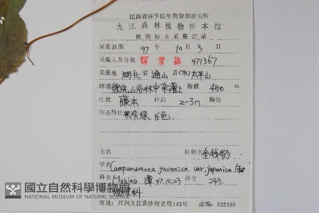 金錢豹藏品圖，第2張