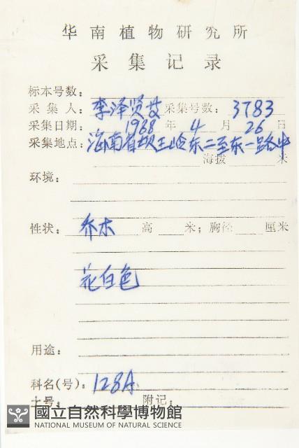 華杜英藏品圖，第2張