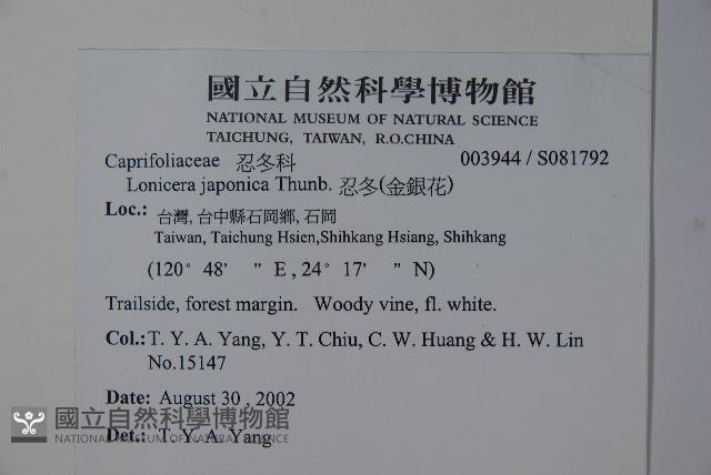 忍冬、金銀花藏品圖，第2張