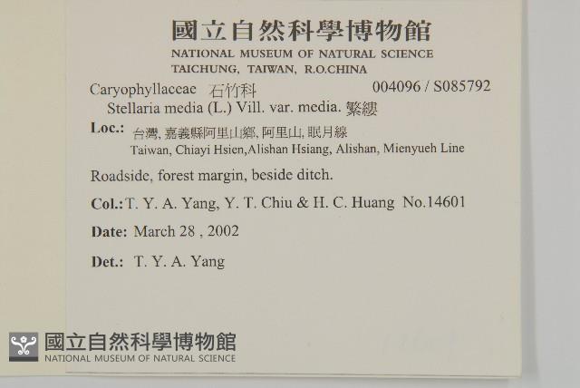 繁縷藏品圖，第2張