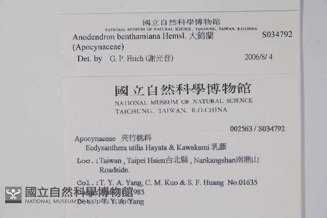 大錦蘭藏品圖，第2張