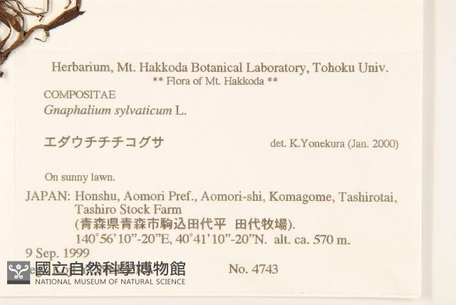 登錄號:S074792藏品圖，第2張