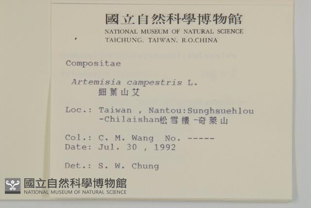 高山艾藏品圖，第2張