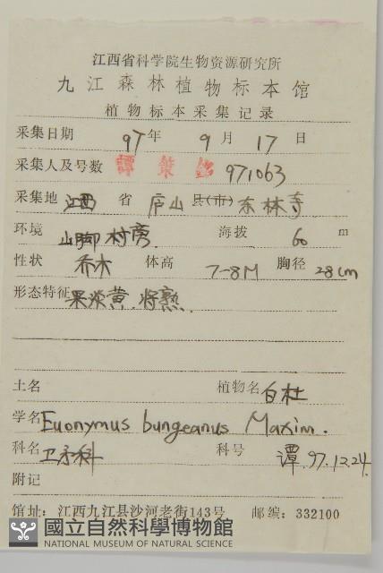 白杜藏品圖，第2張