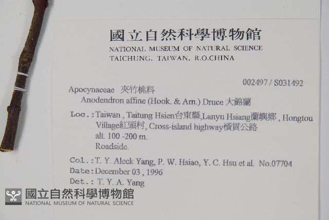 小錦蘭藏品圖，第2張