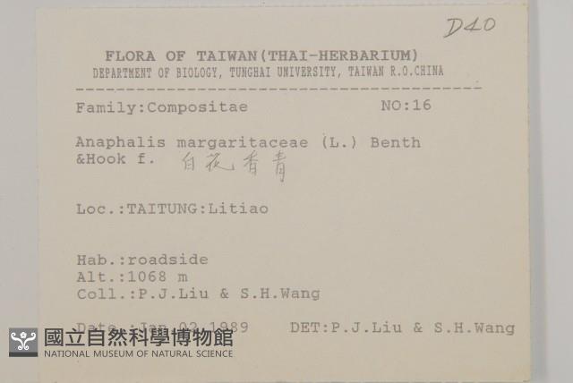 抱莖籟簫藏品圖，第2張