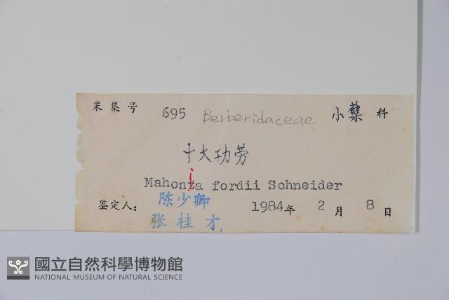 十大功勞藏品圖，第2張