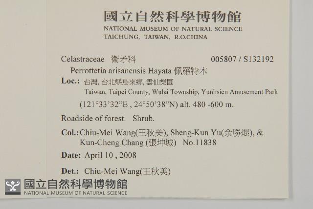 佩羅特木藏品圖，第2張