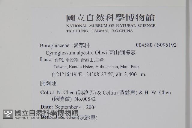高山倒提壺藏品圖，第2張