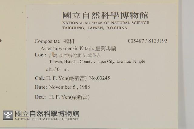 臺灣馬蘭藏品圖，第2張