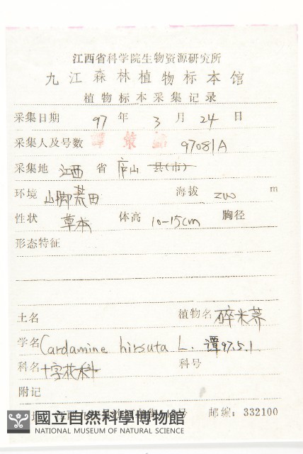 碎米薺藏品圖，第2張