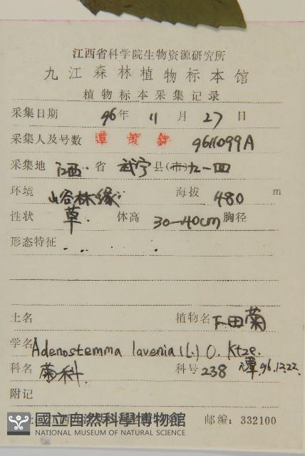 下田菊藏品圖，第2張