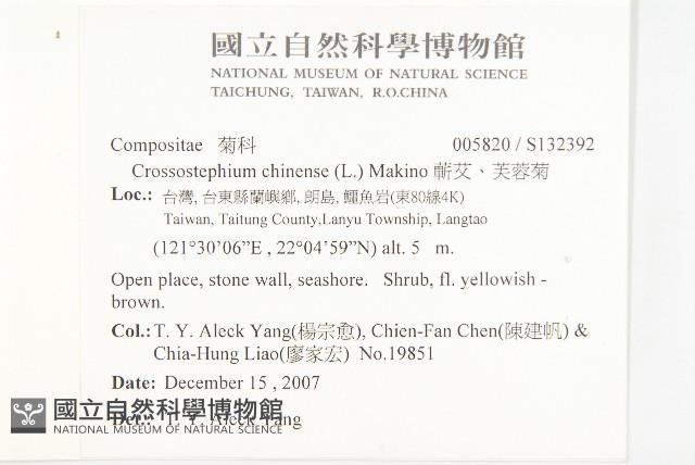 蘄艾、芙蓉菊藏品圖，第2張